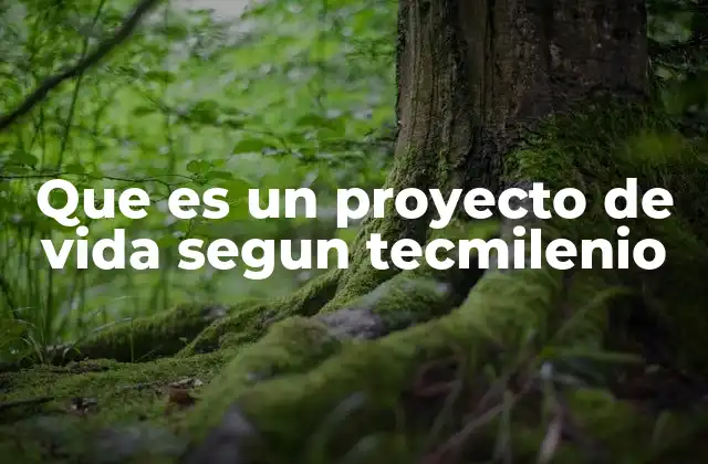 Que es un Proyecto de Vida Segun Tecmilenio