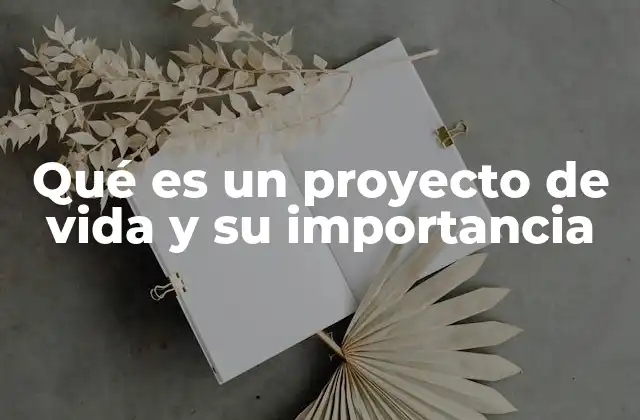 Qué es un Proyecto de Vida y Su Importancia