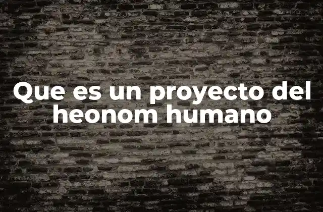 Que es un Proyecto Del Heonom Humano