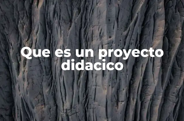 Que es un Proyecto Didacico