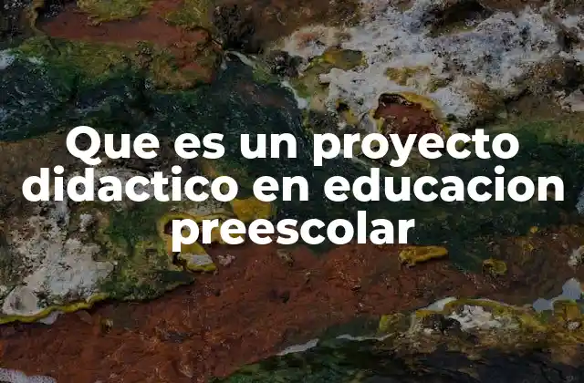 Que es un Proyecto Didactico en Educacion Preescolar