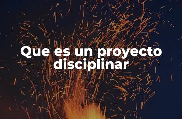 Que es un Proyecto Disciplinar