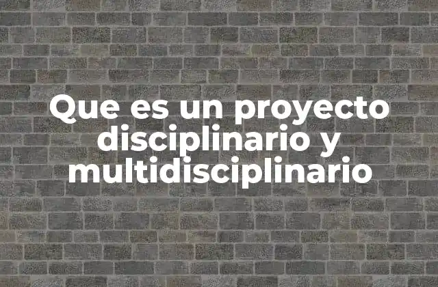 Que es un Proyecto Disciplinario y Multidisciplinario