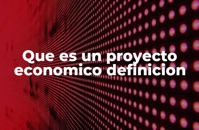 Que es un Proyecto Economico Definicion