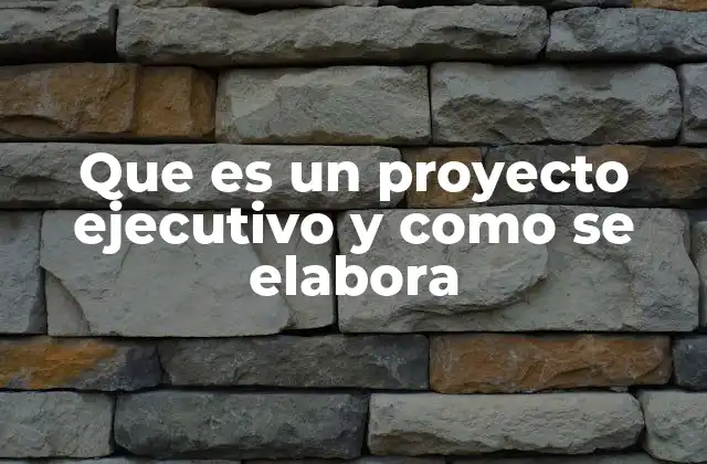 Que es un Proyecto Ejecutivo y como Se Elabora