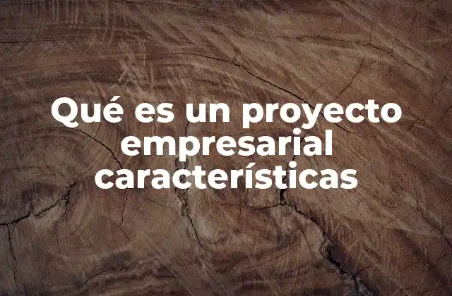 Qué es un Proyecto Empresarial Características