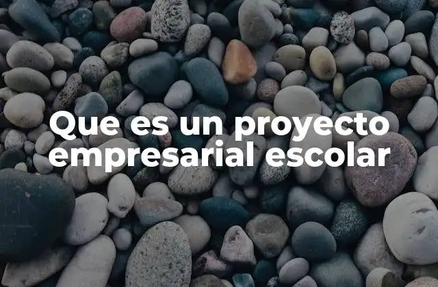 Que es un Proyecto Empresarial Escolar