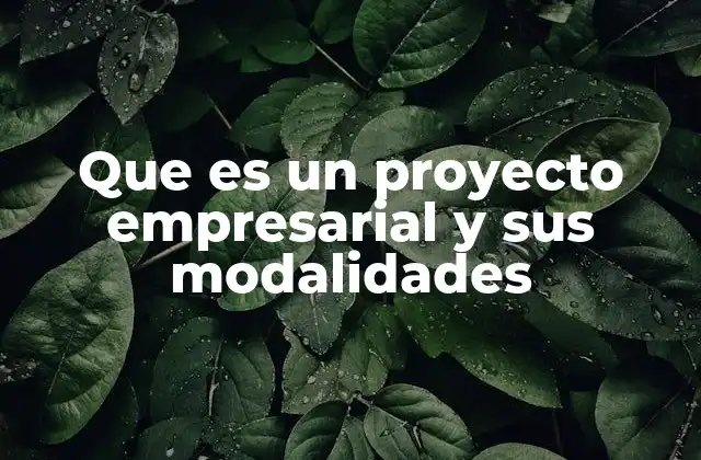 Que es un Proyecto Empresarial y Sus Modalidades