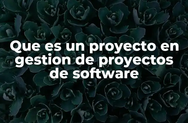 Que es un Proyecto en Gestion de Proyectos de Software