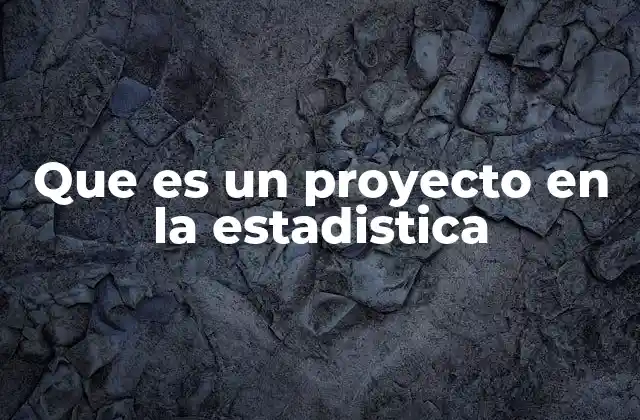 Que es un Proyecto en la Estadistica