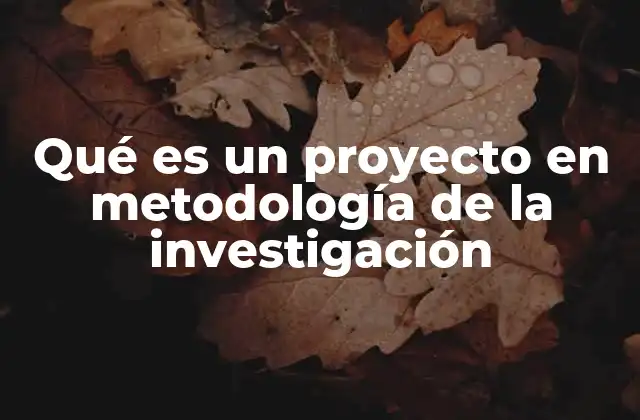 Qué es un Proyecto en Metodología de la Investigación