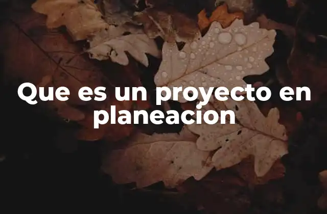 Que es un Proyecto en Planeacion