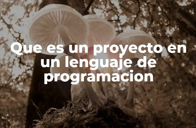 Que es un Proyecto en un Lenguaje de Programacion