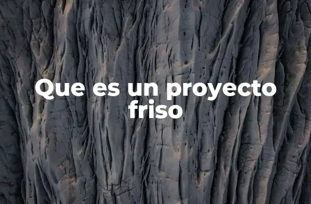 Que es un Proyecto Friso