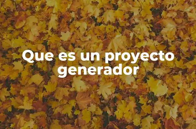 Que es un Proyecto Generador