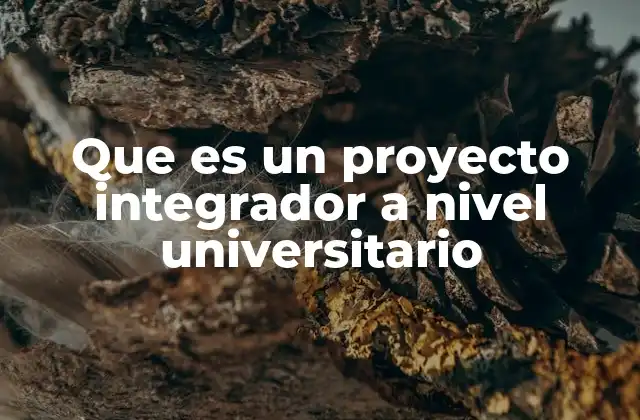 Que es un Proyecto Integrador a Nivel Universitario