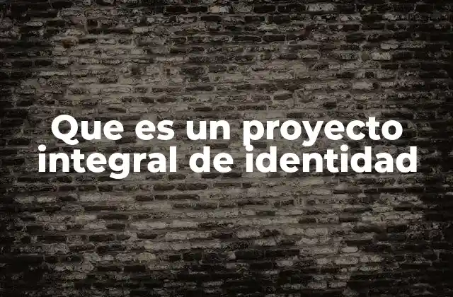 Que es un Proyecto Integral de Identidad 2 La importancia de una identidad bien definida en la comunicación institucional