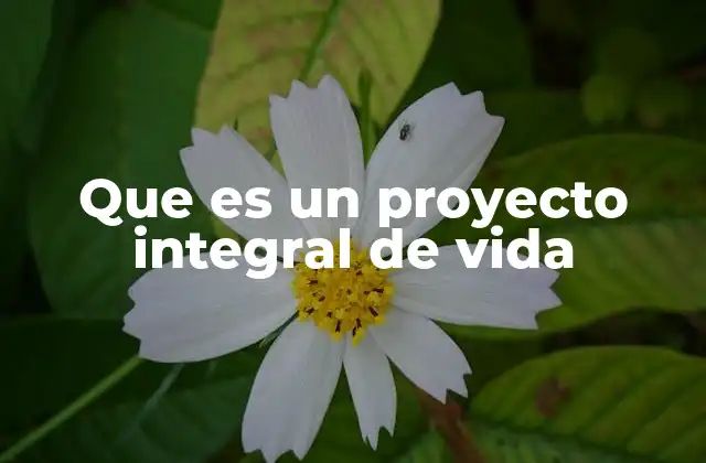 Que es un Proyecto Integral de Vida
