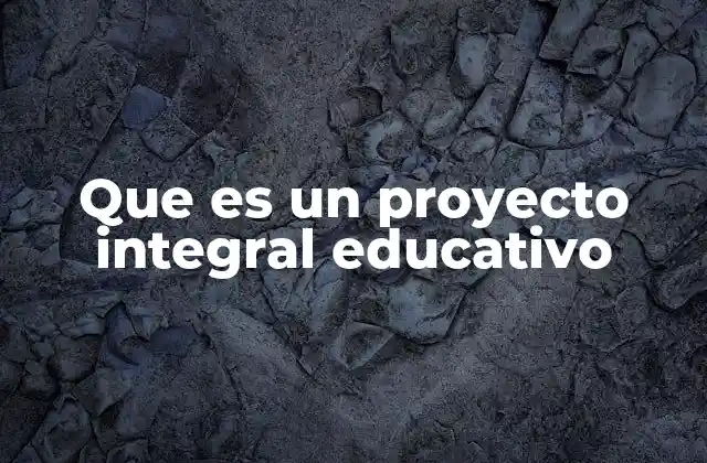 Que es un Proyecto Integral Educativo