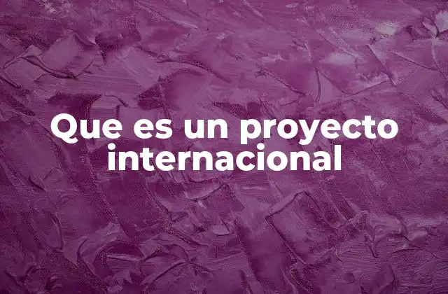 Que es un Proyecto Internacional