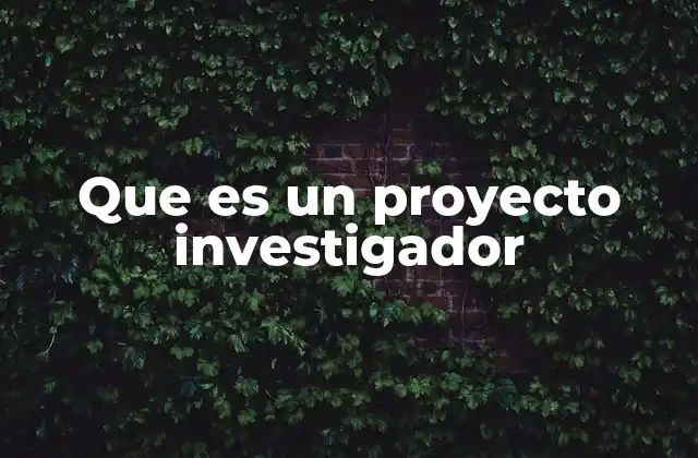 Que es un Proyecto Investigador