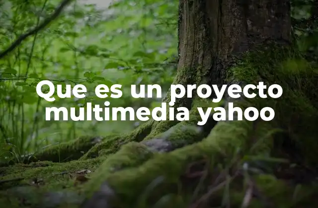 El papel de Yahoo en la evolución del contenido multimedia