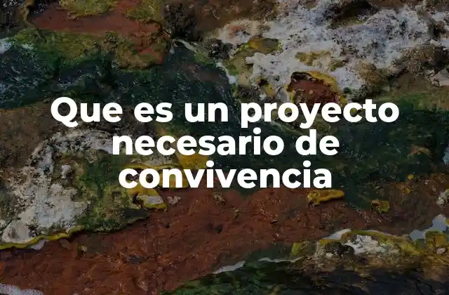 Que es un Proyecto Necesario de Convivencia