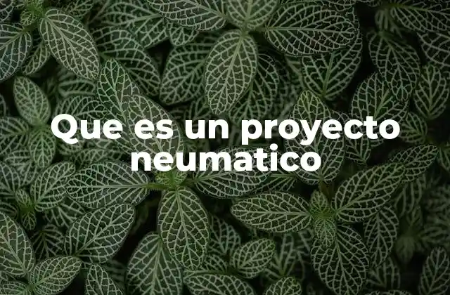 Que es un Proyecto Neumatico