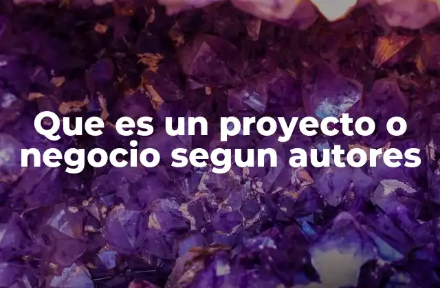 Que es un Proyecto o Negocio Segun Autores