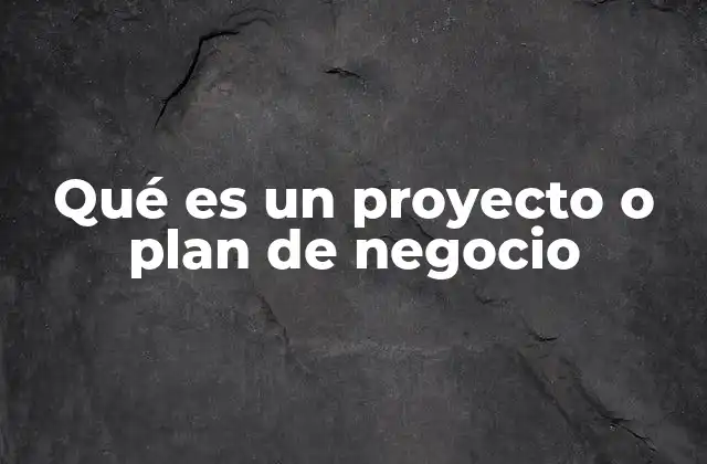 Qué es un Proyecto o Plan de Negocio 2 La importancia de estructurar una idea de negocio