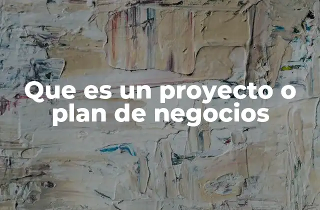 Que es un Proyecto o Plan de Negocios