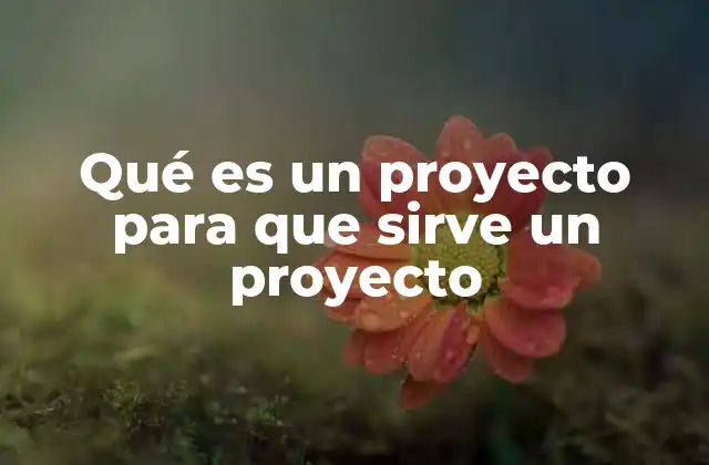 Qué es un Proyecto para que Sirve un Proyecto