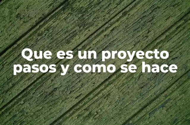 Que es un Proyecto Pasos y como Se Hace