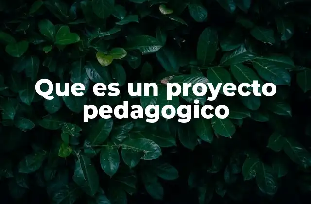 Que es un Proyecto Pedagogico