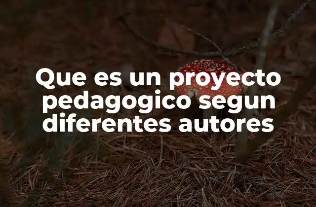 Que es un Proyecto Pedagogico Segun Diferentes Autores