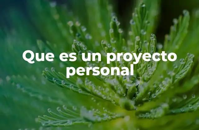 Que es un Proyecto Personal 2 Cómo los proyectos personales enriquecen la vida diaria