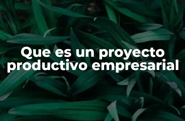 Que es un Proyecto Productivo Empresarial