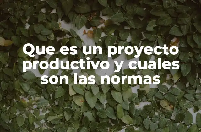 Que es un Proyecto Productivo y Cuales Son las Normas