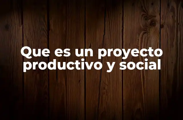 Que es un Proyecto Productivo y Social