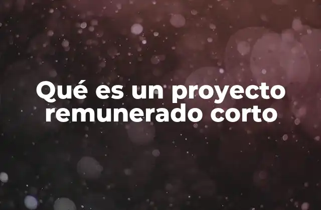 Qué es un Proyecto Remunerado Corto