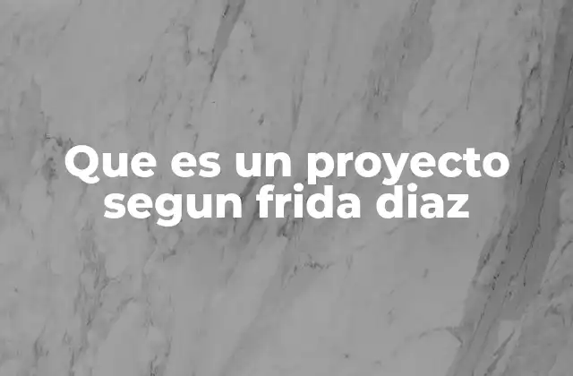Que es un Proyecto Segun Frida Diaz