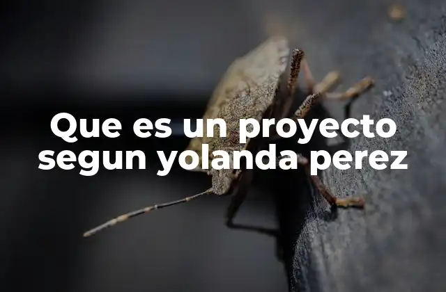 Que es un Proyecto Segun Yolanda Perez