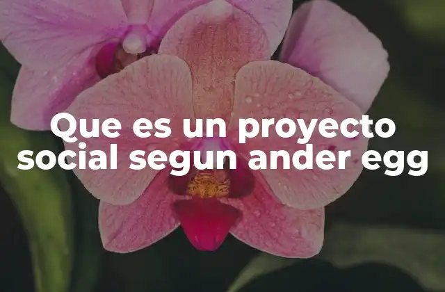 Que es un Proyecto Social Segun Ander Egg 2 El rol del proyecto social en la transformación comunitaria