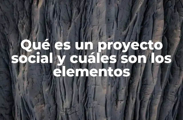 Qué es un Proyecto Social y Cuáles Son los Elementos