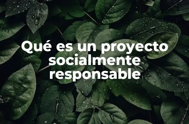 Qué es un Proyecto Socialmente Responsable