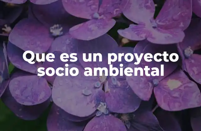 Que es un Proyecto Socio Ambiental