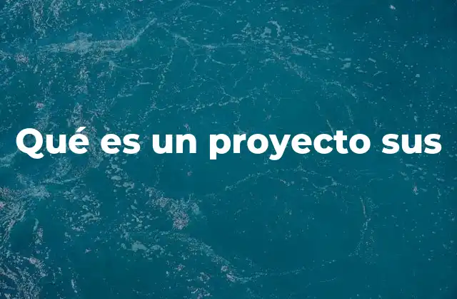 Qué es un Proyecto Sus