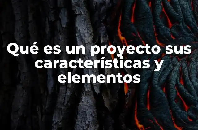 Qué es un Proyecto Sus Características y Elementos