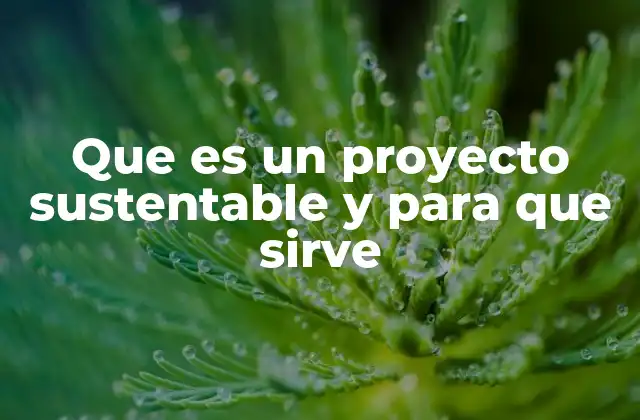 La importancia de los proyectos sustentables en el mundo actual