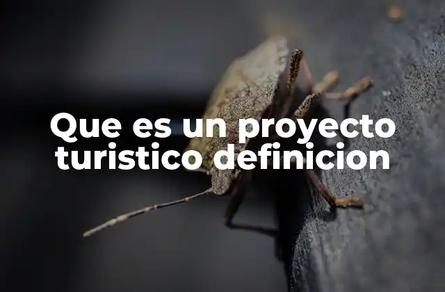 Que es un Proyecto Turistico Definicion